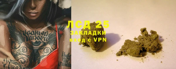 мяу мяу мука Шали