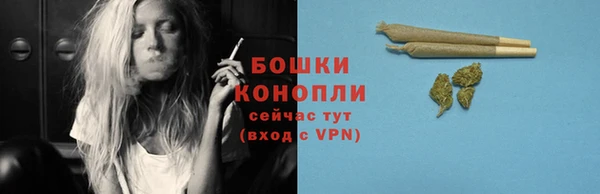 мяу мяу мука Шали