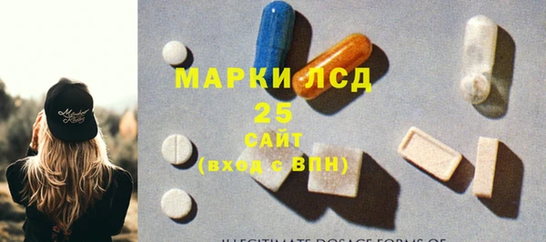 молекула духа Чердынь