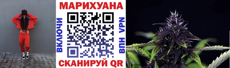 Купить закладки  Истра  Бошки Шишки ГИДРОПОН 